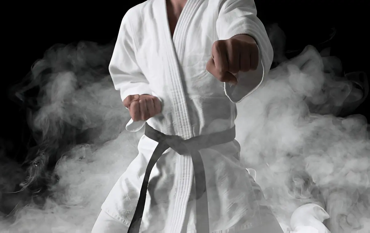 karate belts unpacking the colors levels and journey of a karateka