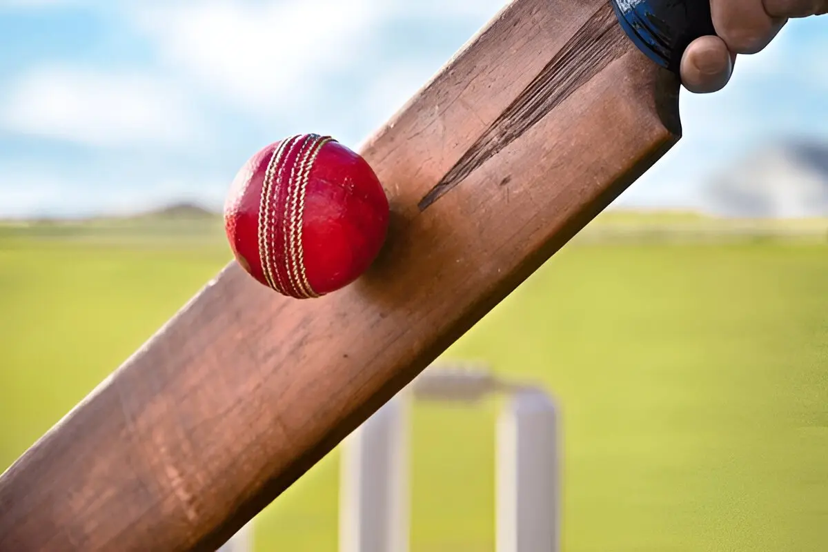 m chinnaswamy stadium bengaluru details matches stats