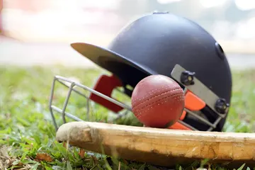 Cricket Helmet