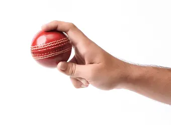 Most Wickets in Cricket: ODI, Test, T20, and World Cup