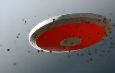 Athletic Discus Track Dimensions: Complete Guide for Setup and Safety