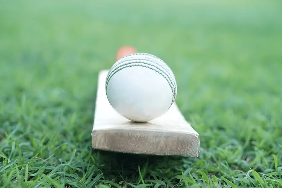 IPL Winner List