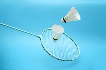 badminton classes in delhi