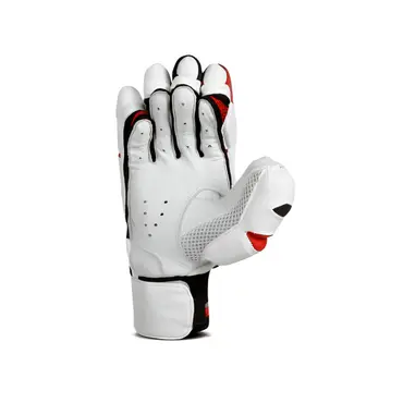 cricket classes in bangalore