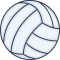 VOLLEYBALL image